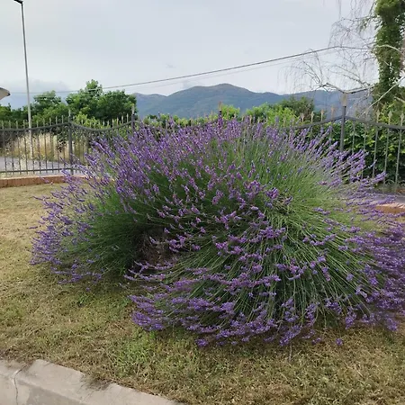 Casa Rosella Hébergement de vacances