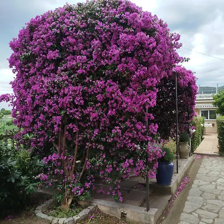 Hébergement de vacances Casa Rosella