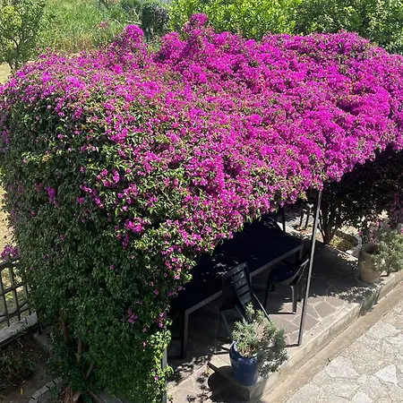 Casa Rosella Hébergement de vacances *